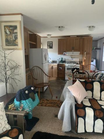 19 Tirrell Avenue Mechanic Falls ME 04256