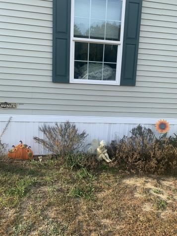 19 Tirrell Avenue Mechanic Falls ME 04256