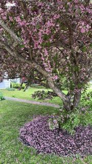 13 River Street Princeton ME 04668