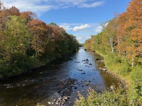 47 River Road Edmunds Twp ME 04628