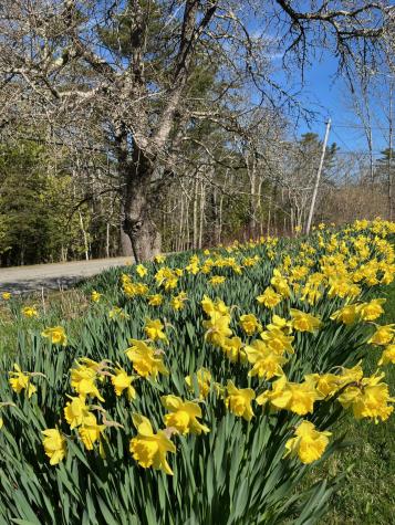 47 River Road Edmunds Twp ME 04628