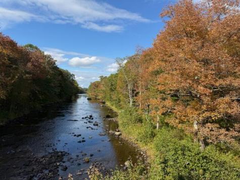 47 River Road Edmunds Twp ME 04628