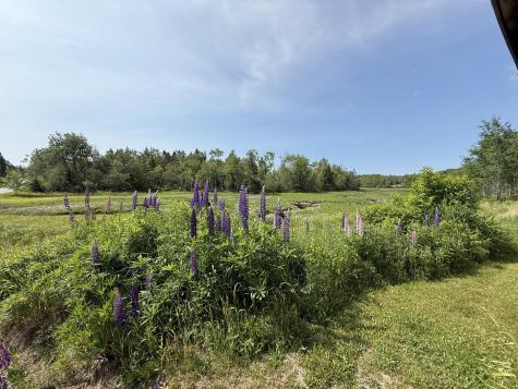 152 Kansas Road Milbridge ME 04658