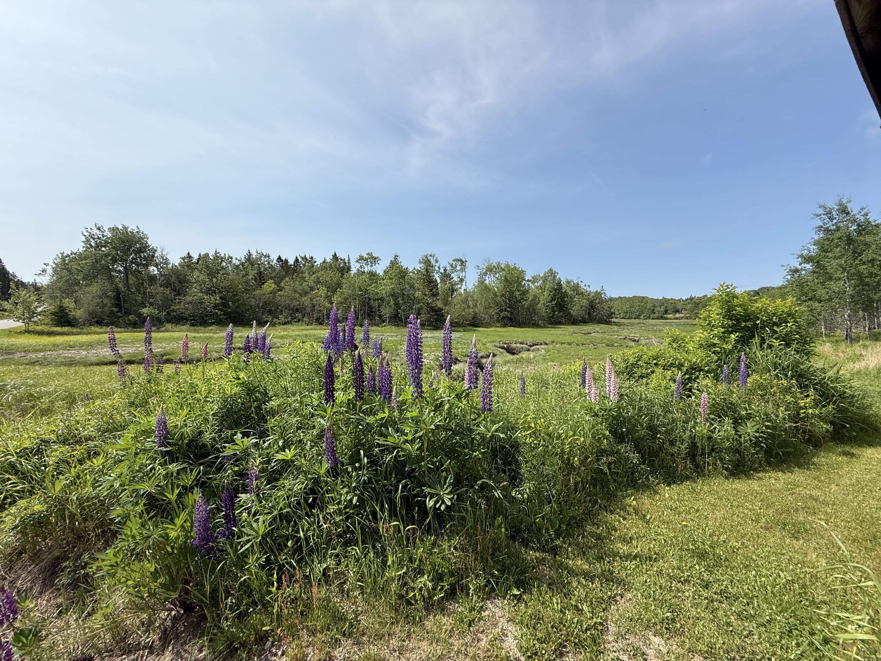 152 Kansas Road Milbridge ME 04658