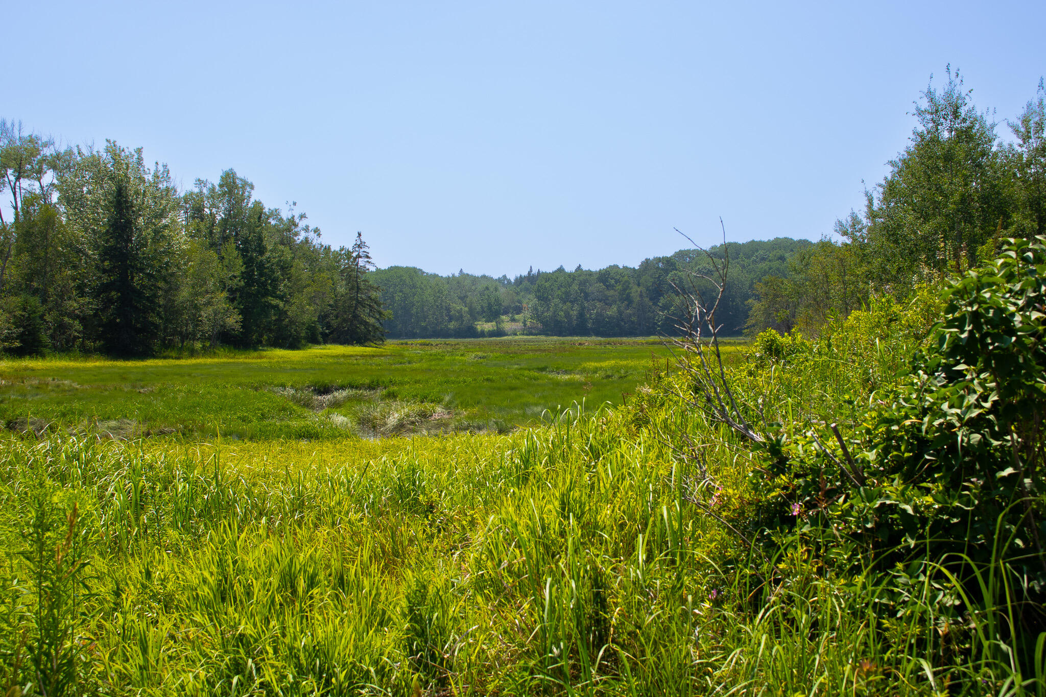 152 Kansas Road Milbridge ME 04658