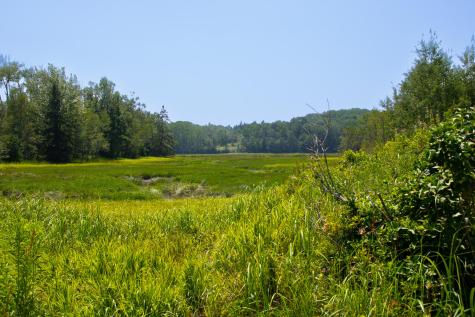 152 Kansas Road Milbridge ME 04658