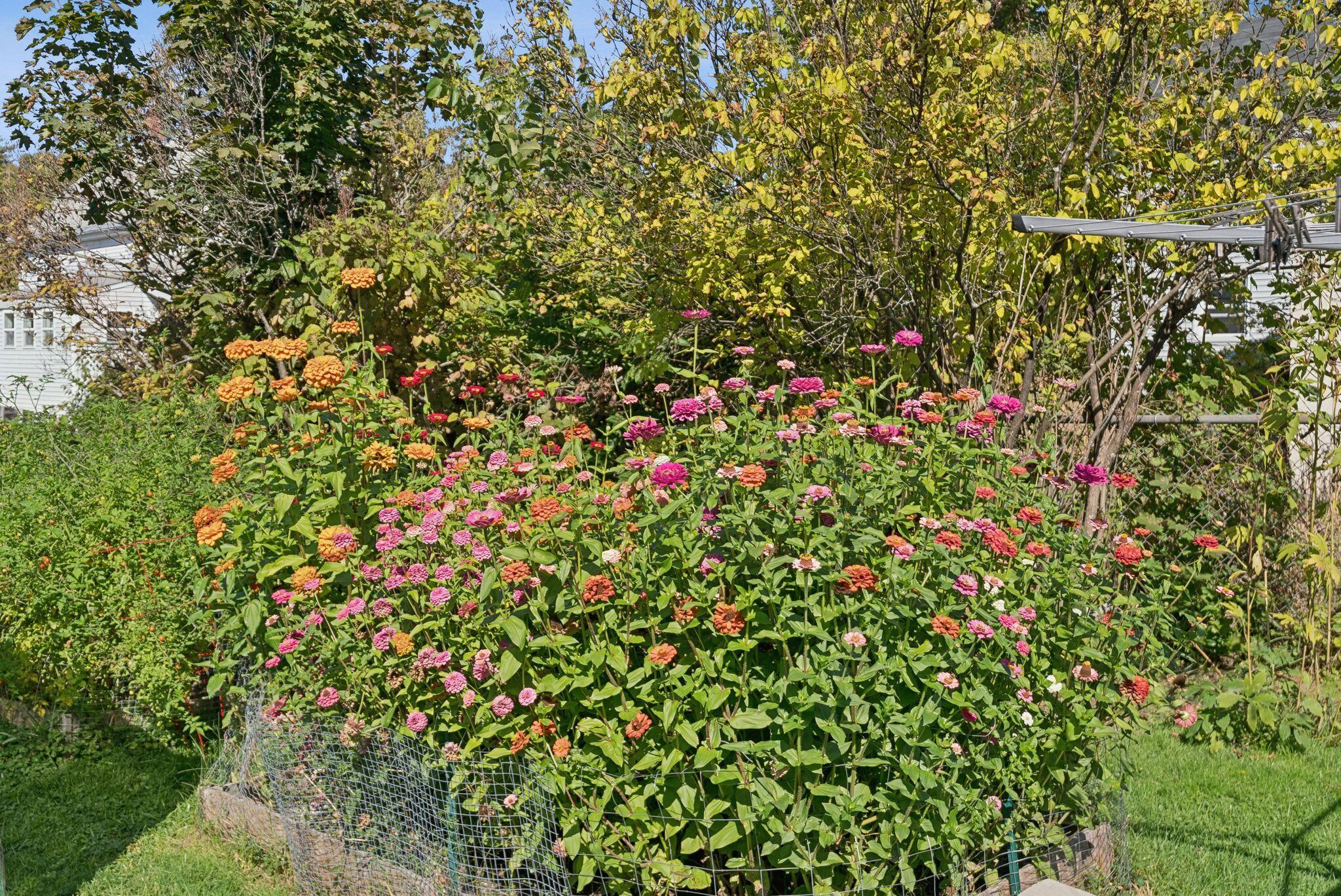 104 Spring Street Lewiston ME 04240