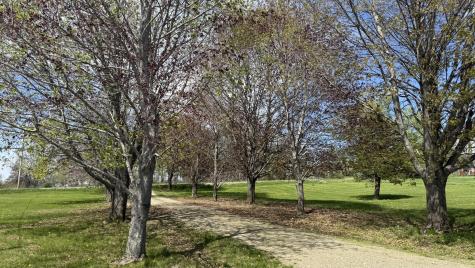 195 Greenbush Road Corinna ME 04928