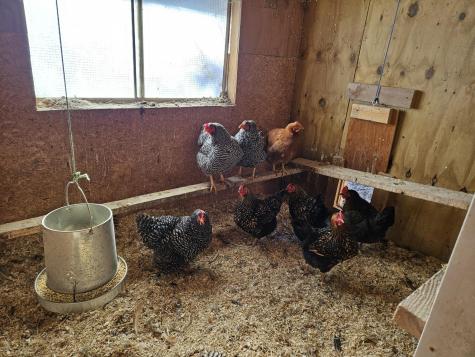 456 Temple Road Farmington ME 04938