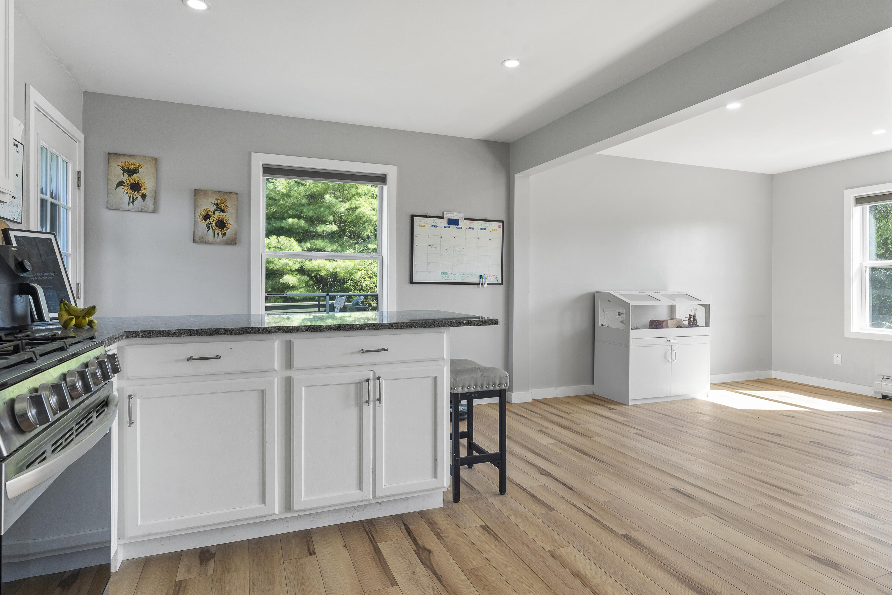 64 Litchfield Road Bowdoin ME 04287