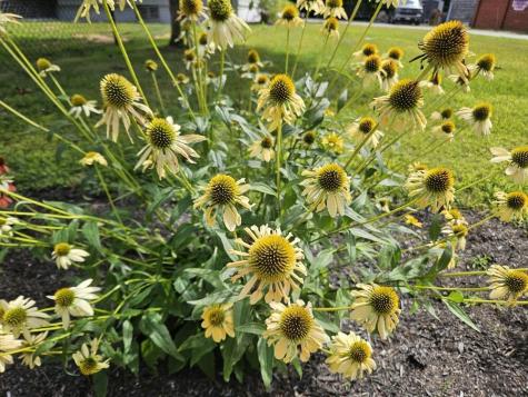 775 Us Route 2 Wilton ME 04294