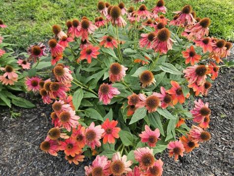 775 Us Route 2 Wilton ME 04294