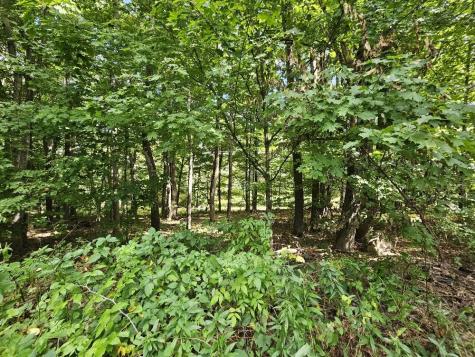 775 Us Route 2 Wilton ME 04294