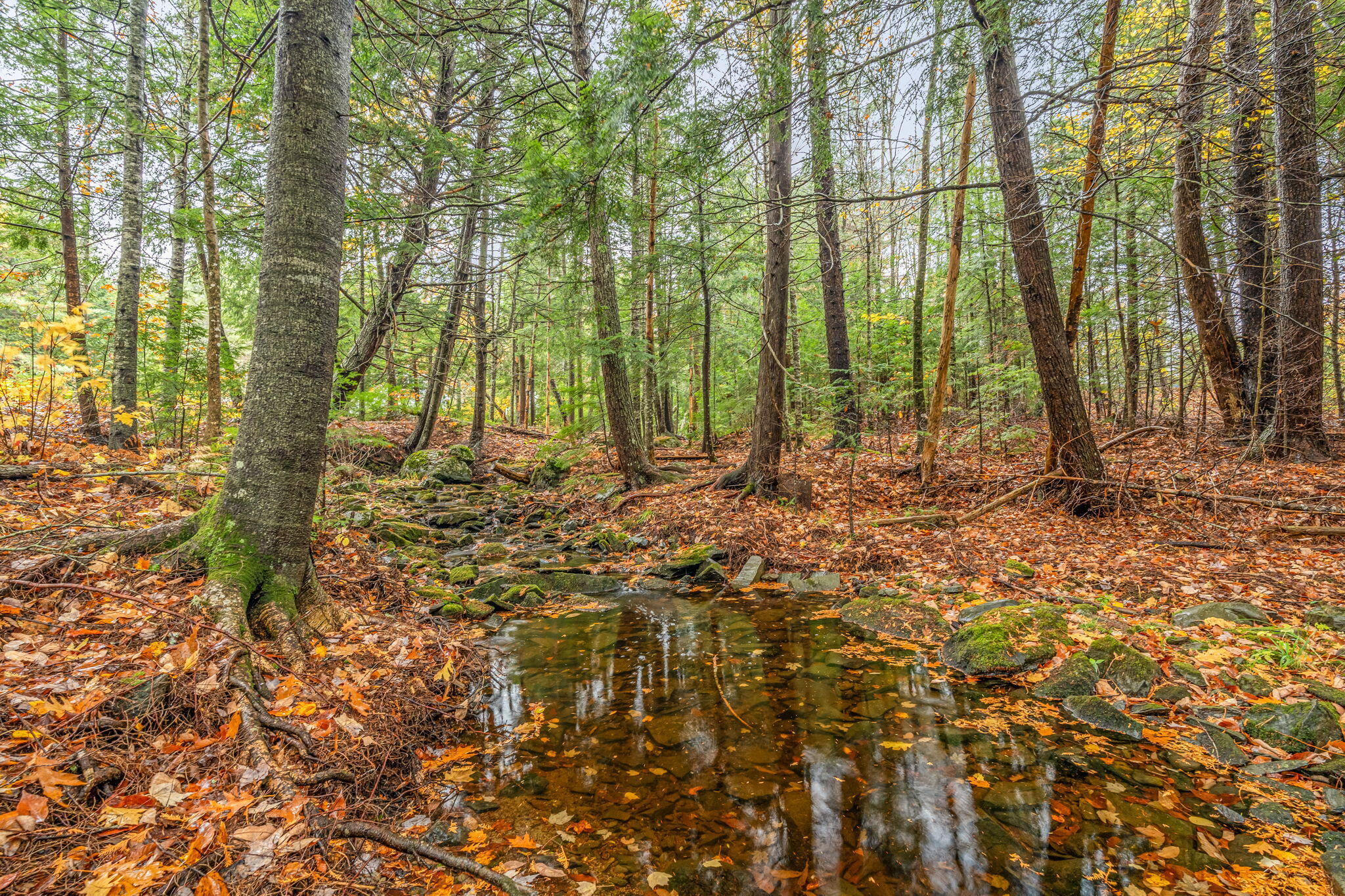 57 Kingsbury Road Holden ME 04429