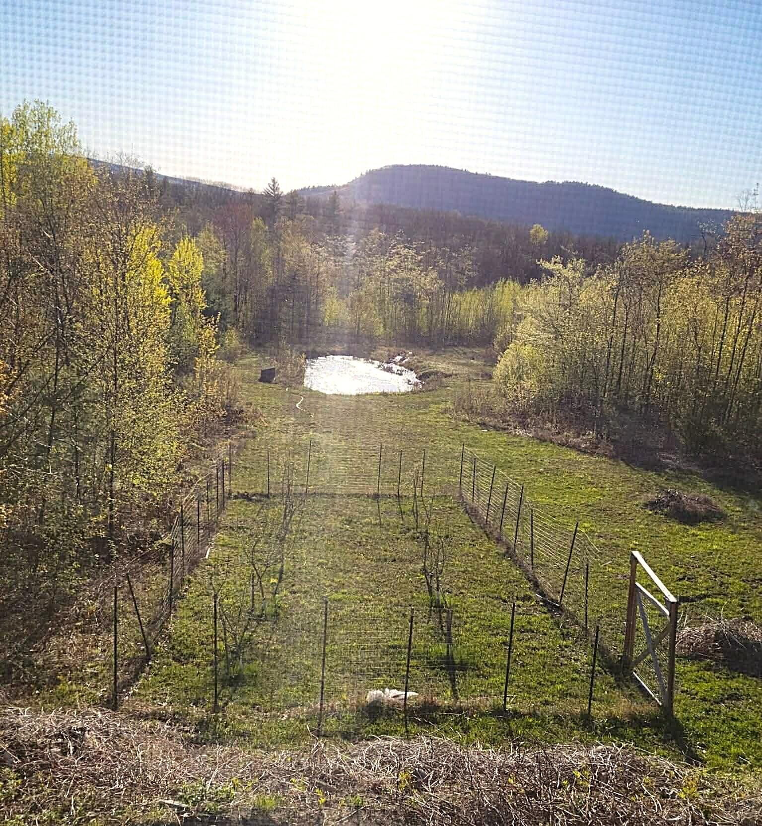 363 Butterhill Road Livermore ME 04253