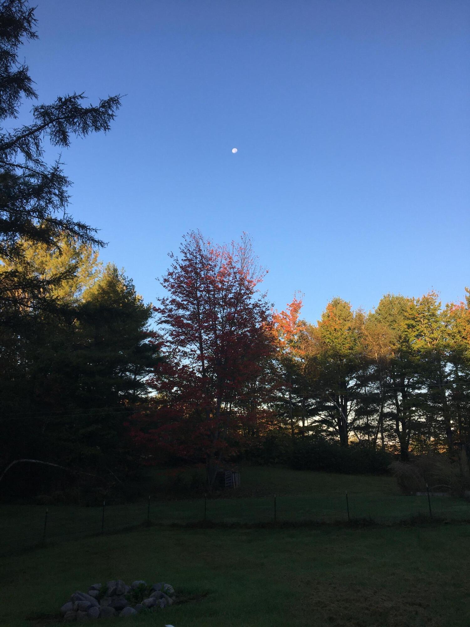 253 Medford Road Milo ME 04463