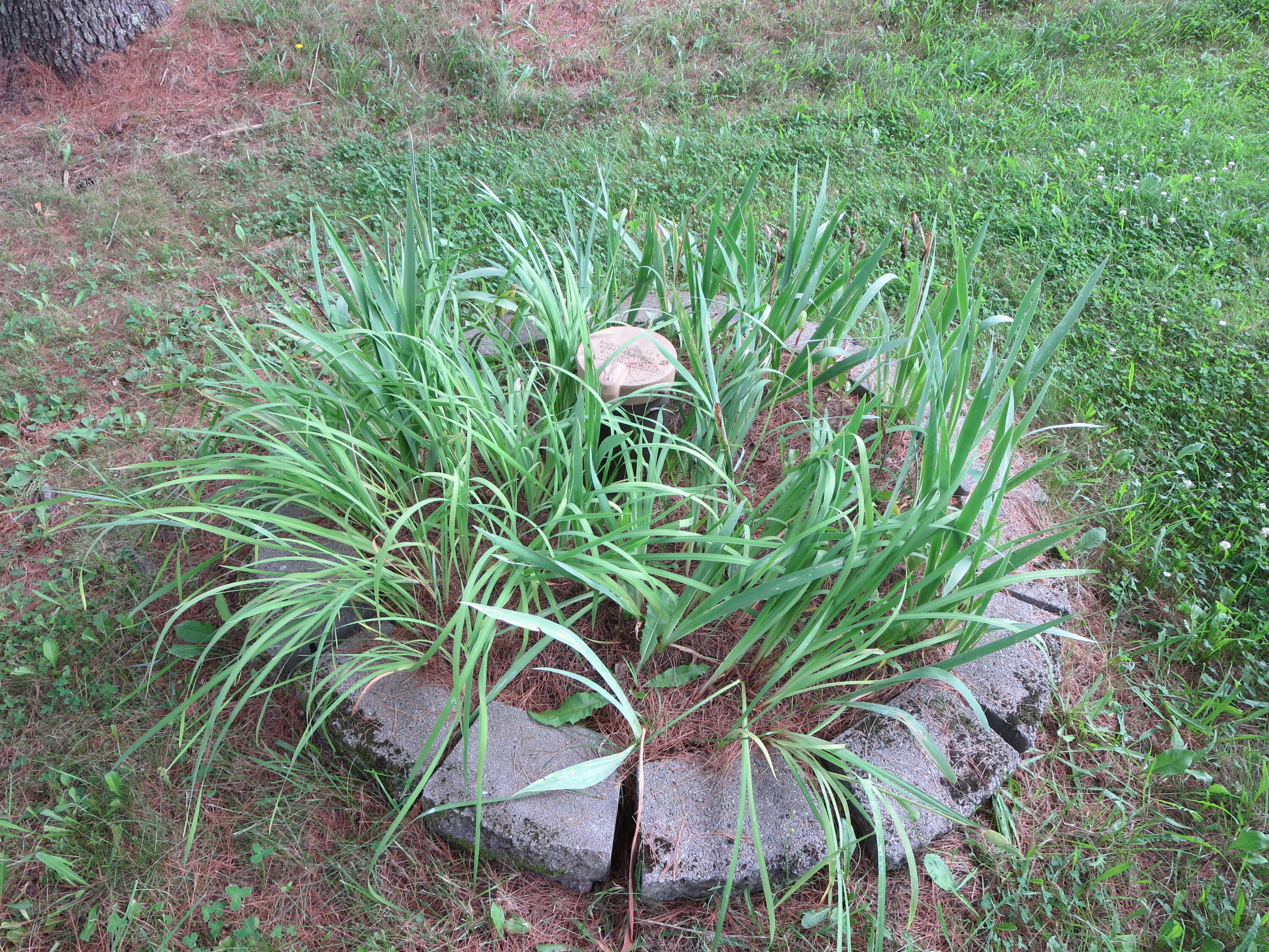 253 Medford Road Milo ME 04463