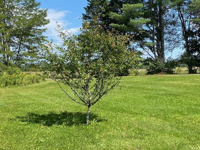 253 Medford Road Milo ME 04463