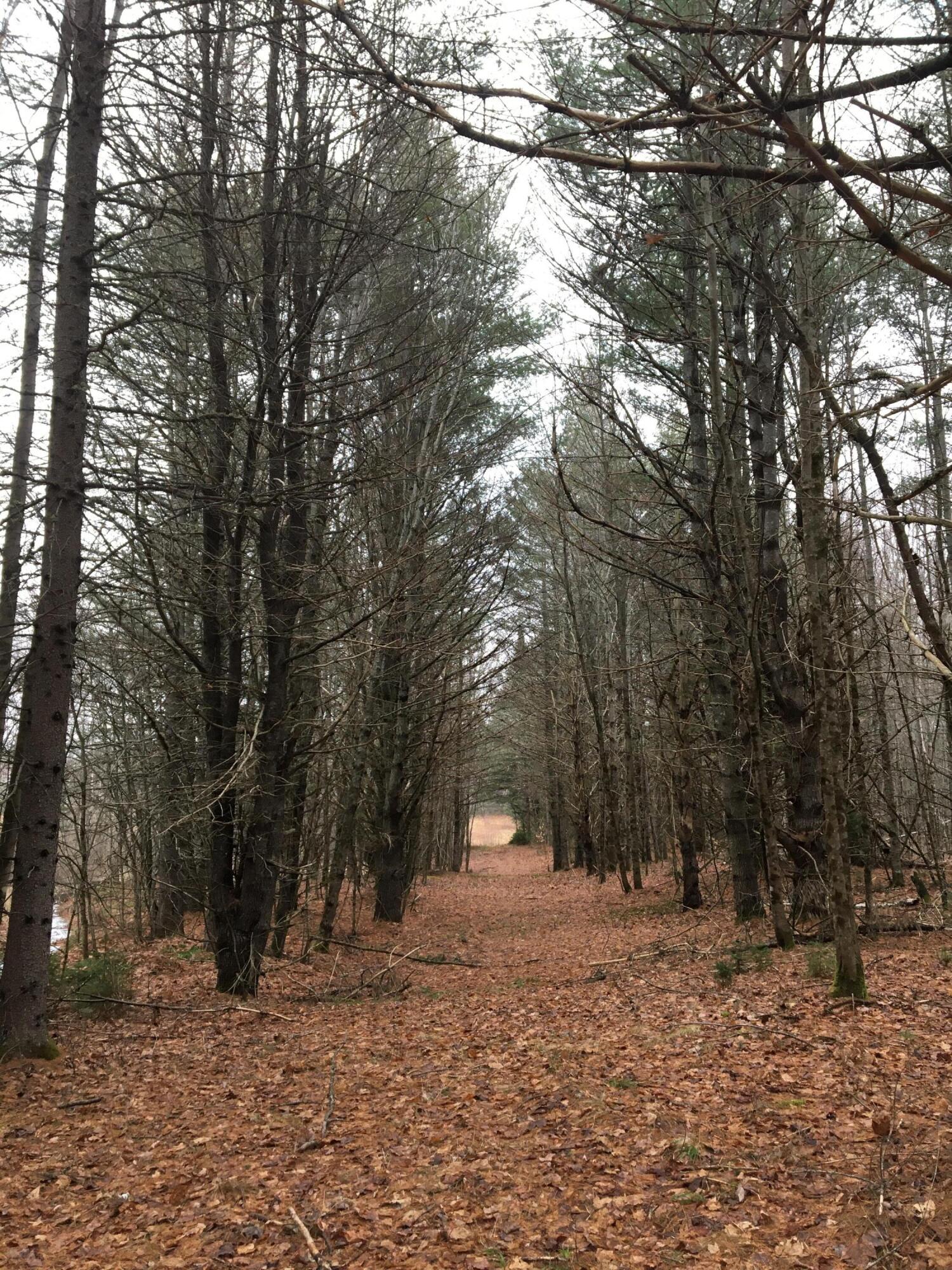 253 Medford Road Milo ME 04463