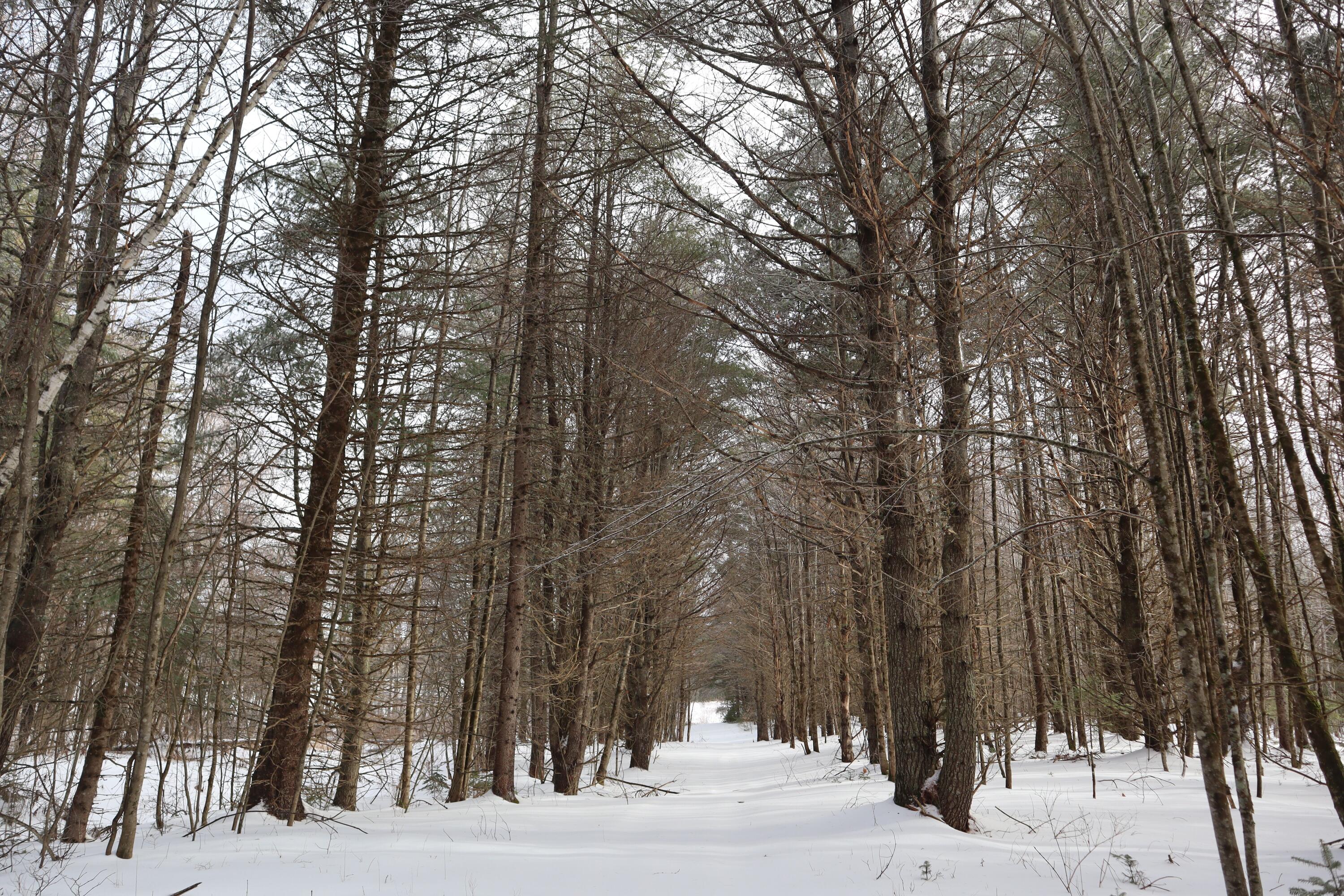 253 Medford Road Milo ME 04463