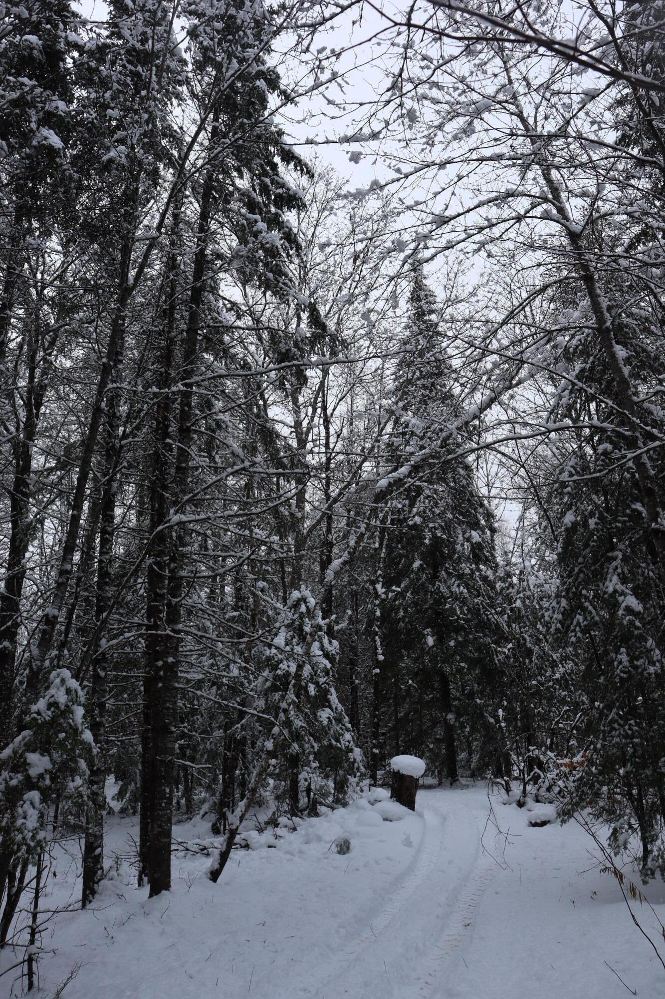 253 Medford Road Milo ME 04463