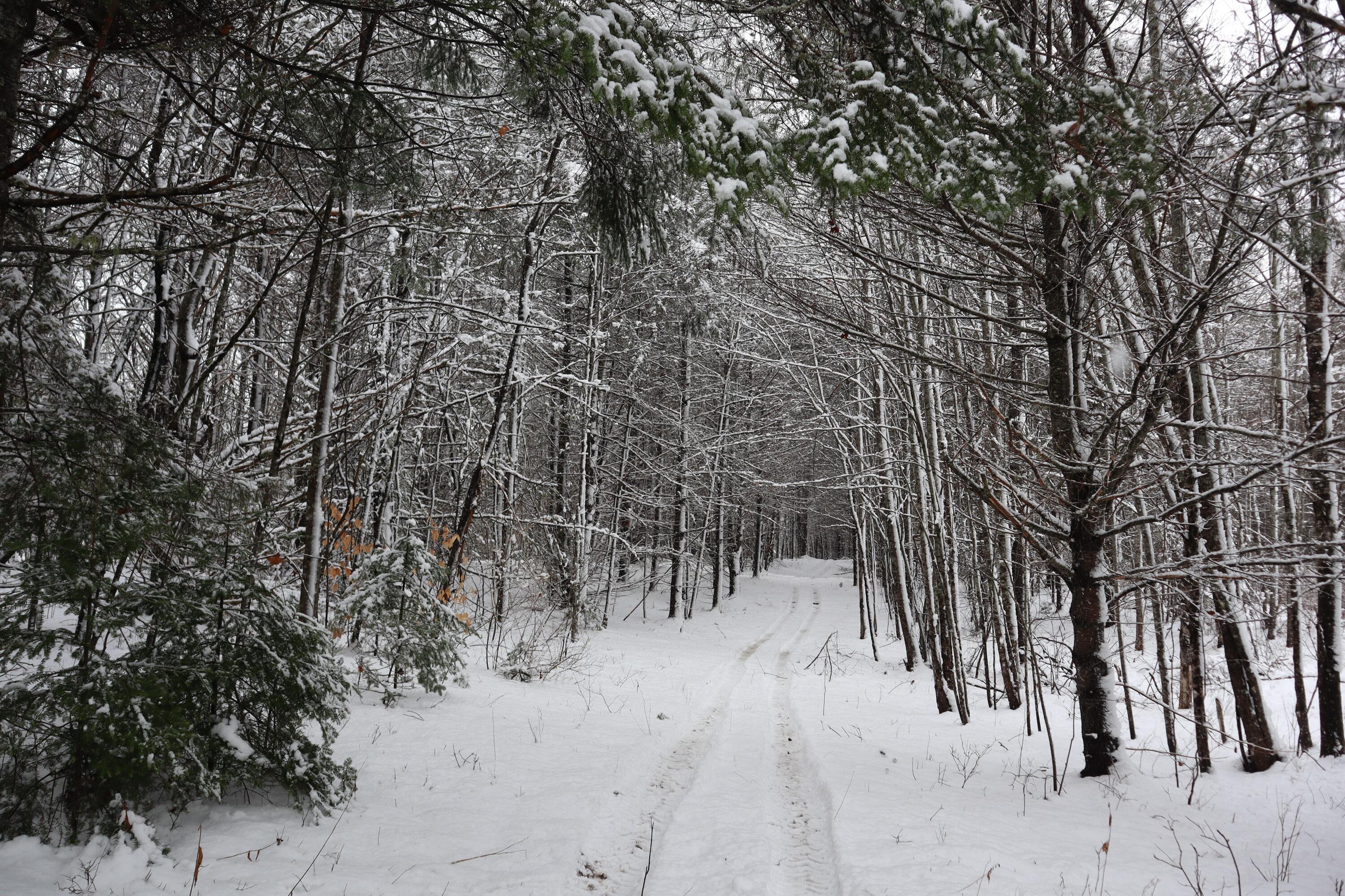 253 Medford Road Milo ME 04463