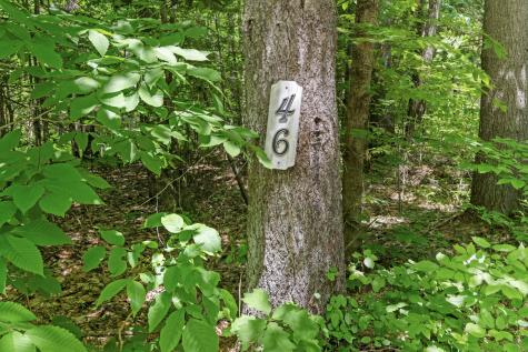 46 Christmas Tree Lane Bridgton ME 04009