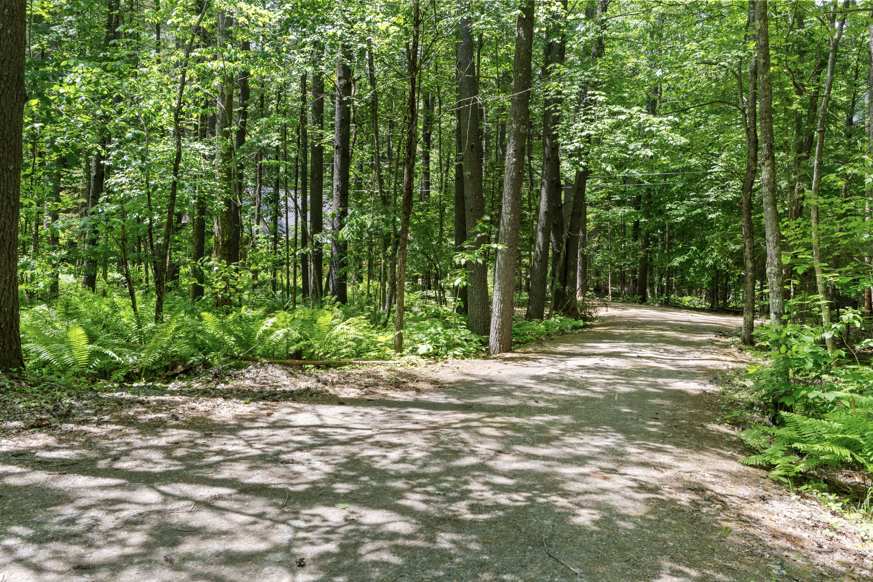 46 Christmas Tree Lane Bridgton ME 04009