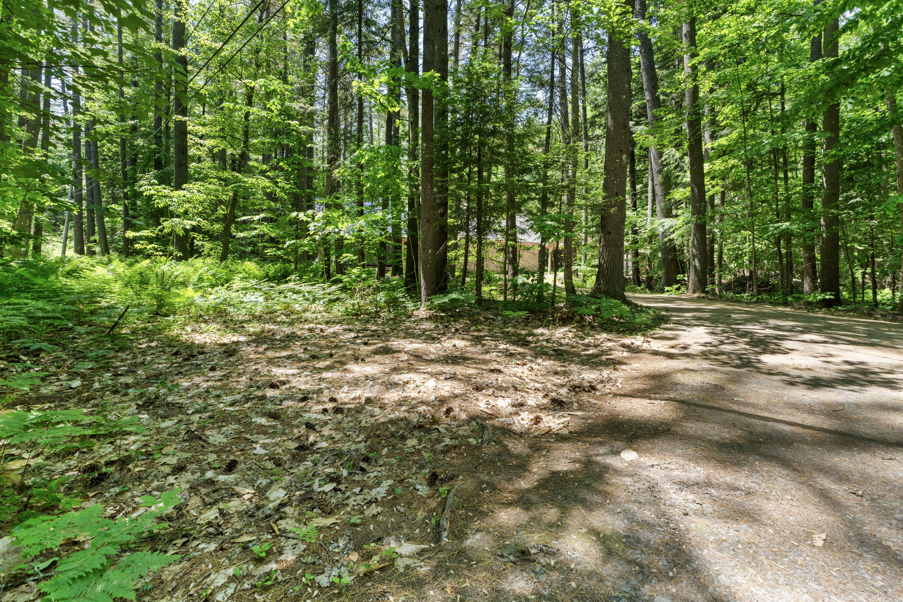 46 Christmas Tree Lane Bridgton ME 04009