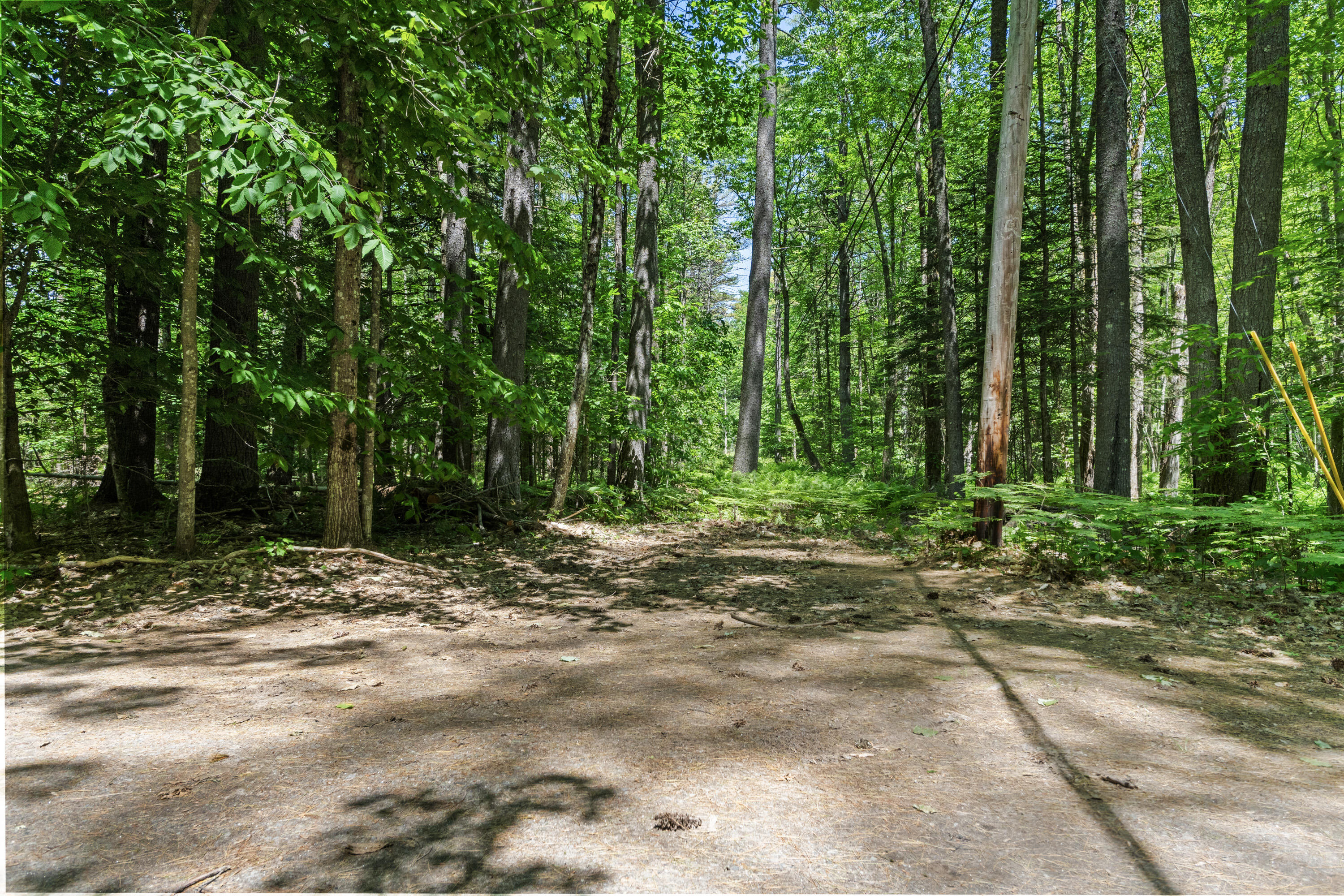 46 Christmas Tree Lane Bridgton ME 04009