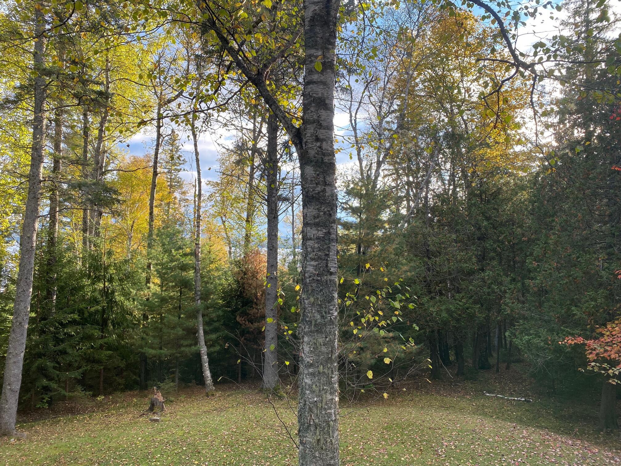 41 Hyatt Road Rangeley ME 04970