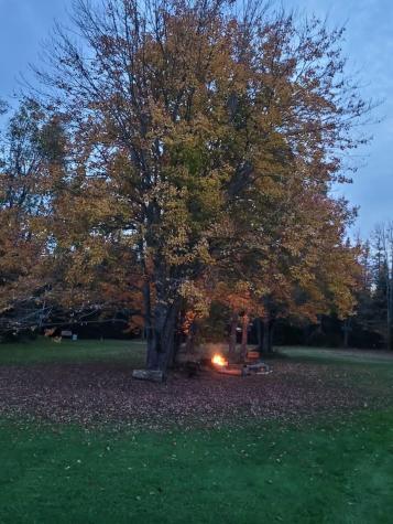 2077 South Princeton Road Baileyville ME 04694