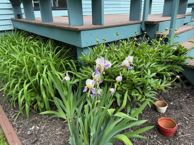 2077 South Princeton Road Baileyville ME 04694