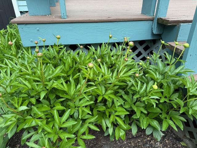 2077 South Princeton Road Baileyville ME 04694