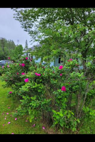 2077 South Princeton Road Baileyville ME 04694