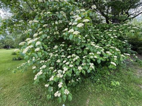 2077 South Princeton Road Baileyville ME 04694