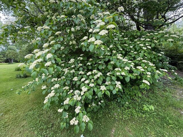 2077 South Princeton Road Baileyville ME 04694