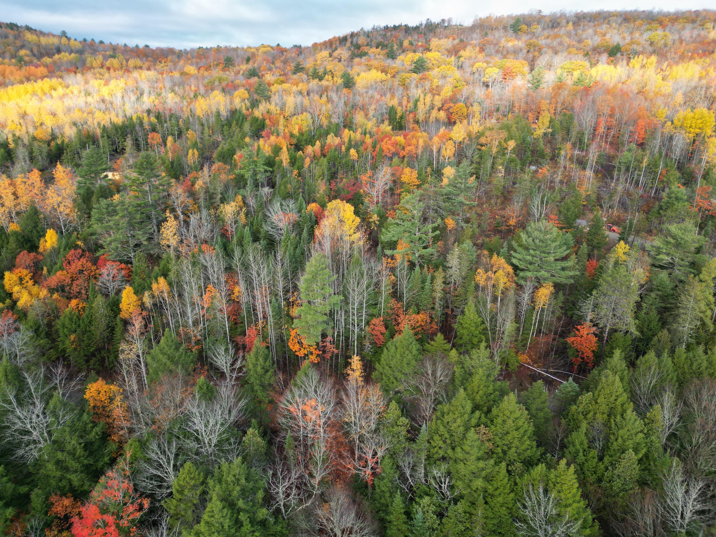 22 Sugarbush Lane Lee ME 04455