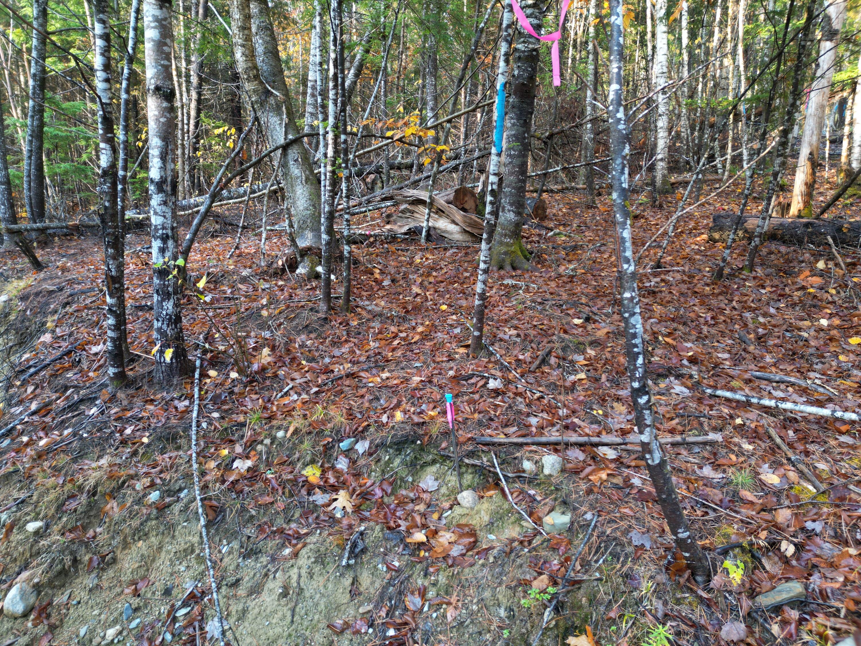 22 Sugarbush Lane Lee ME 04455