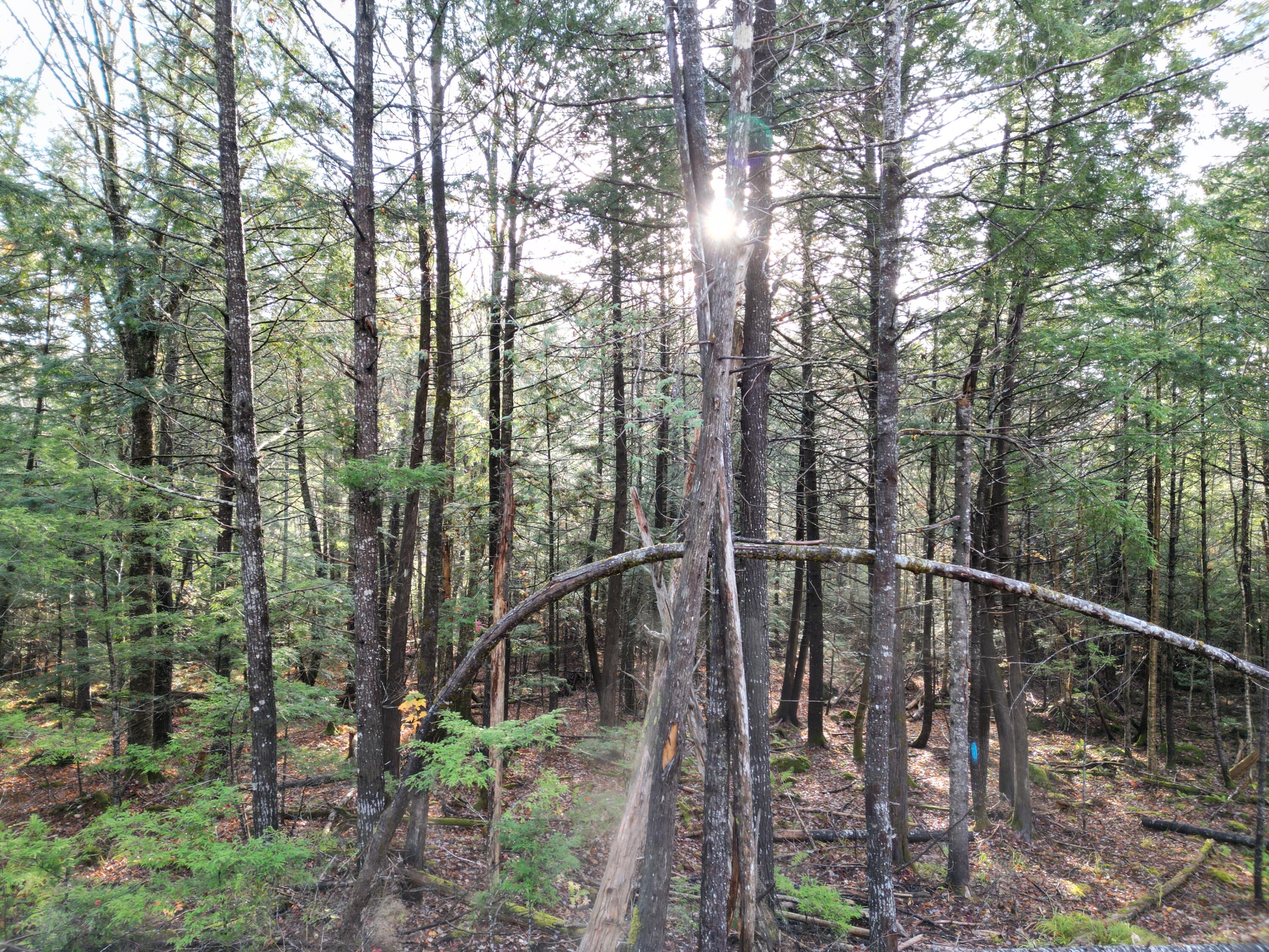 22 Sugarbush Lane Lee ME 04455