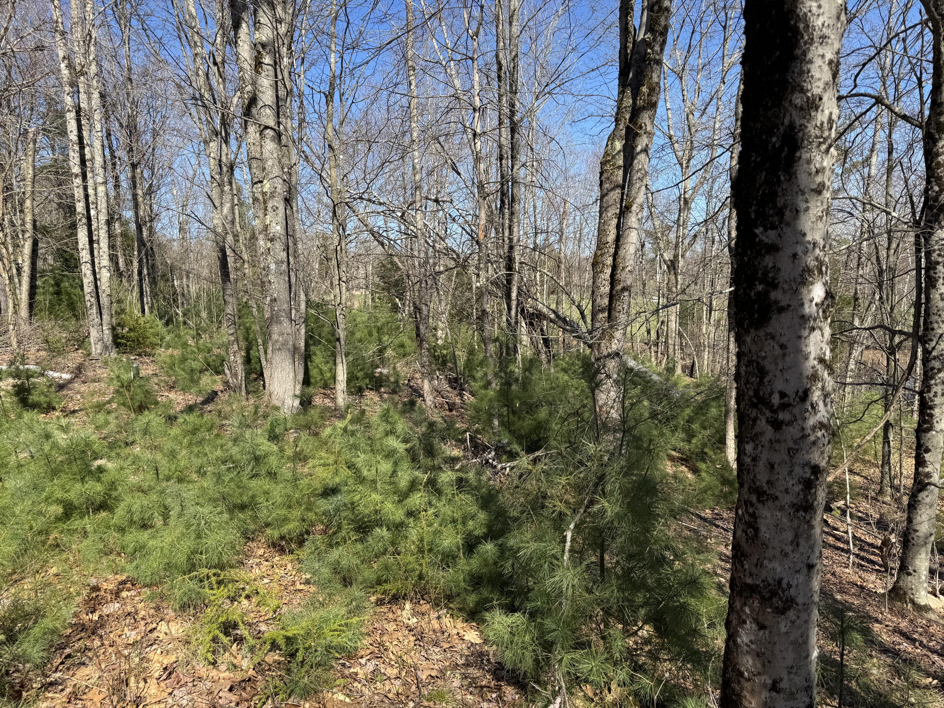 330 Old County Road Washington ME 04574