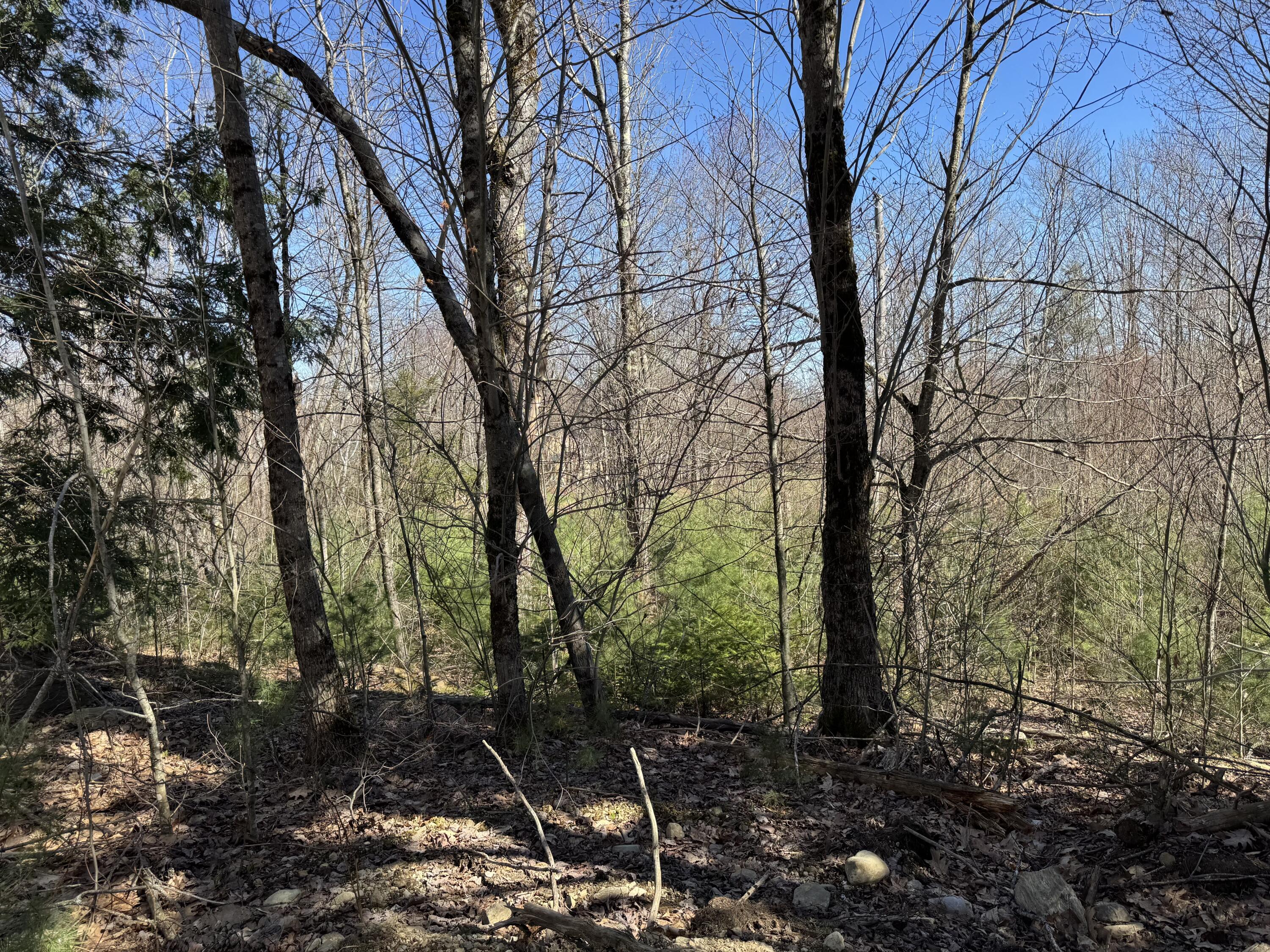 330 Old County Road Washington ME 04574