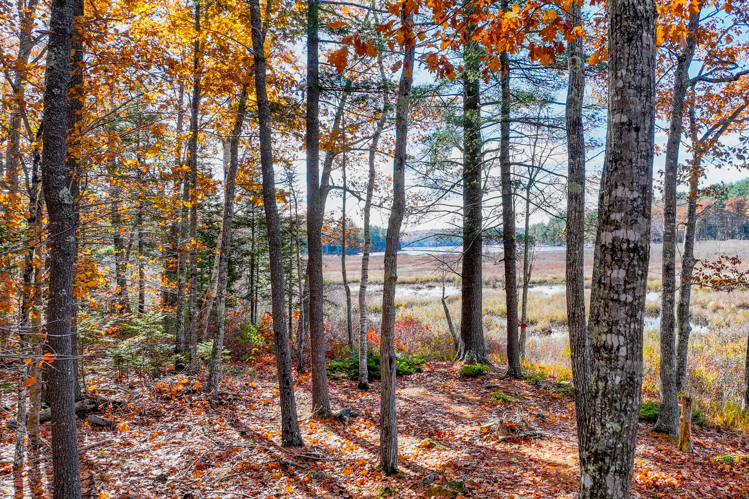 301 Bushey Shore Road Palermo ME 04354