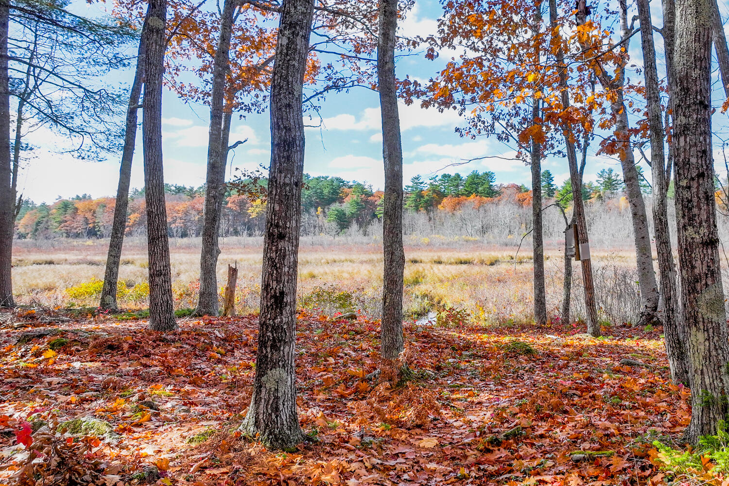 301 Bushey Shore Road Palermo ME 04354