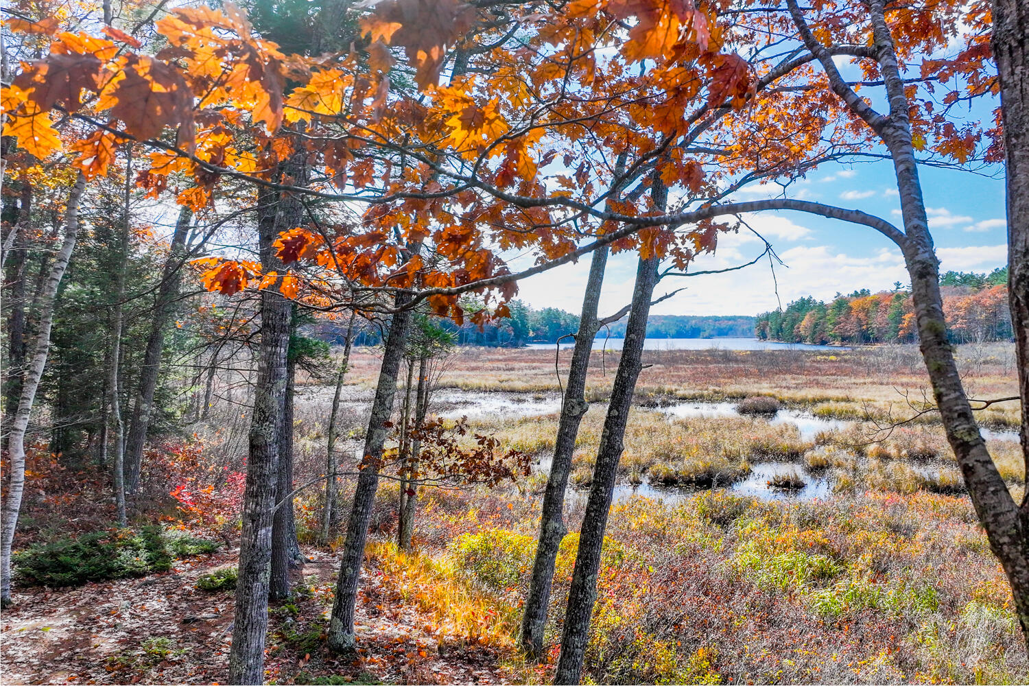 301 Bushey Shore Road Palermo ME 04354