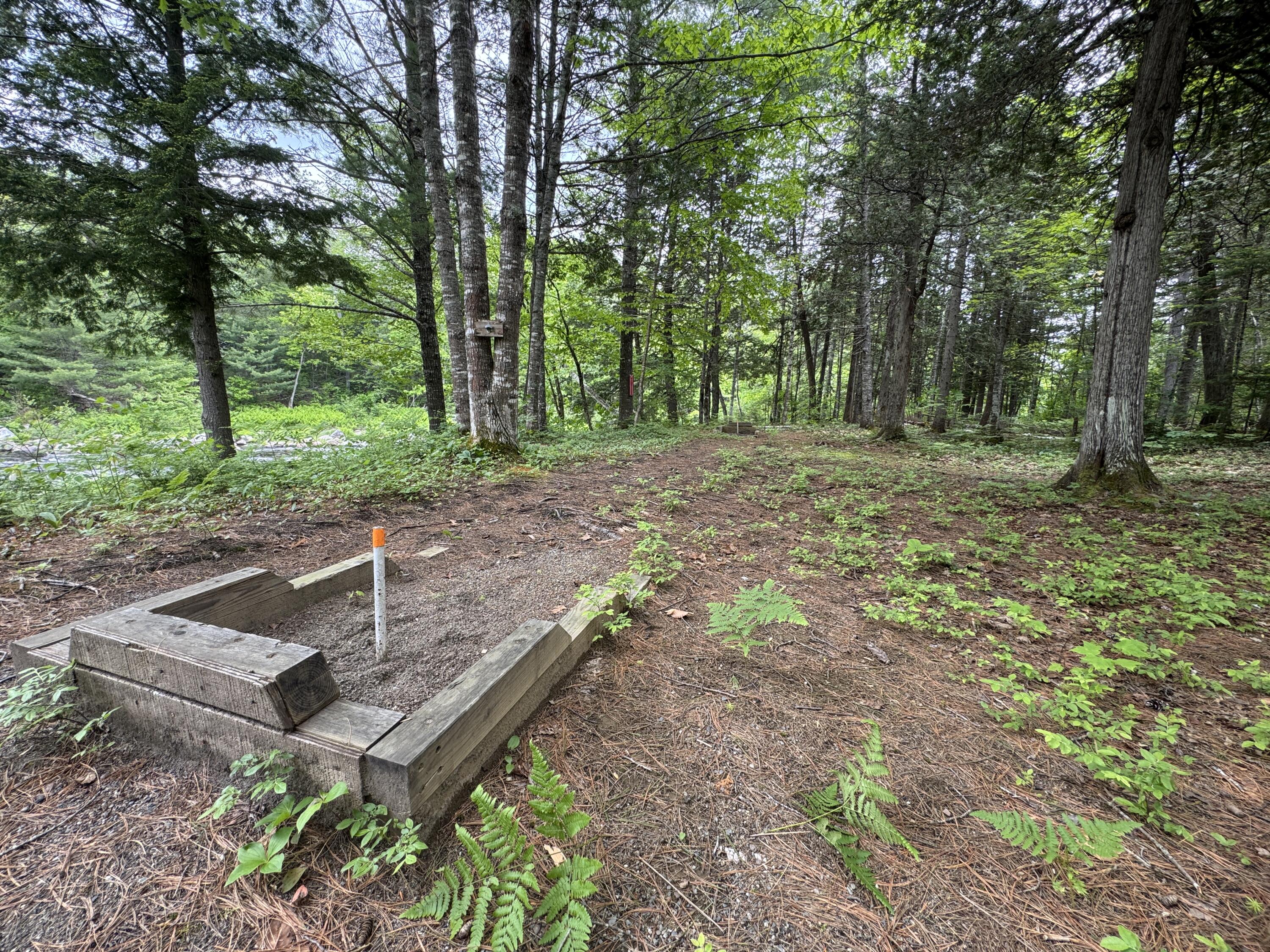 6 Maple Drive Abbot ME 04406