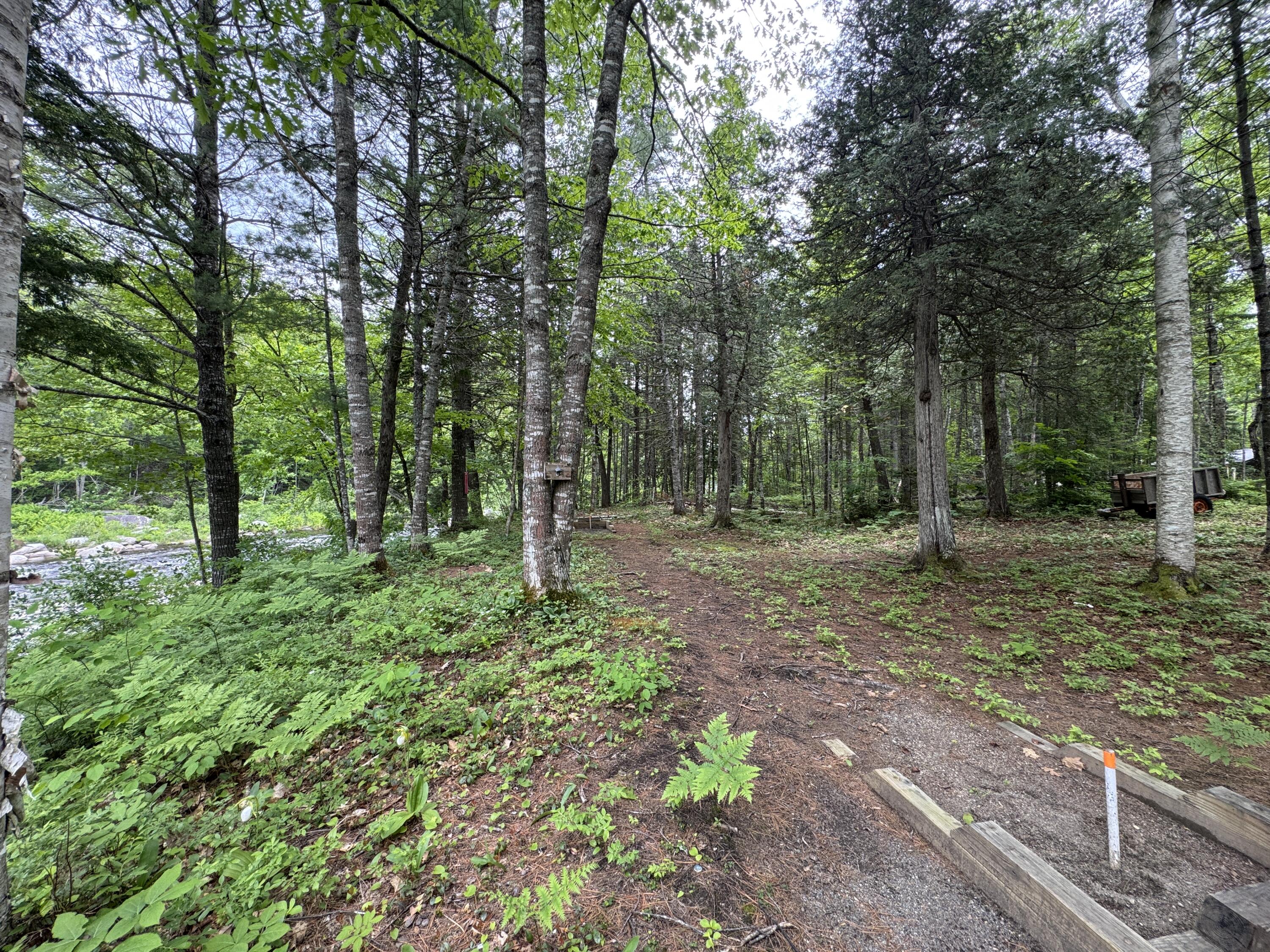 6 Maple Drive Abbot ME 04406