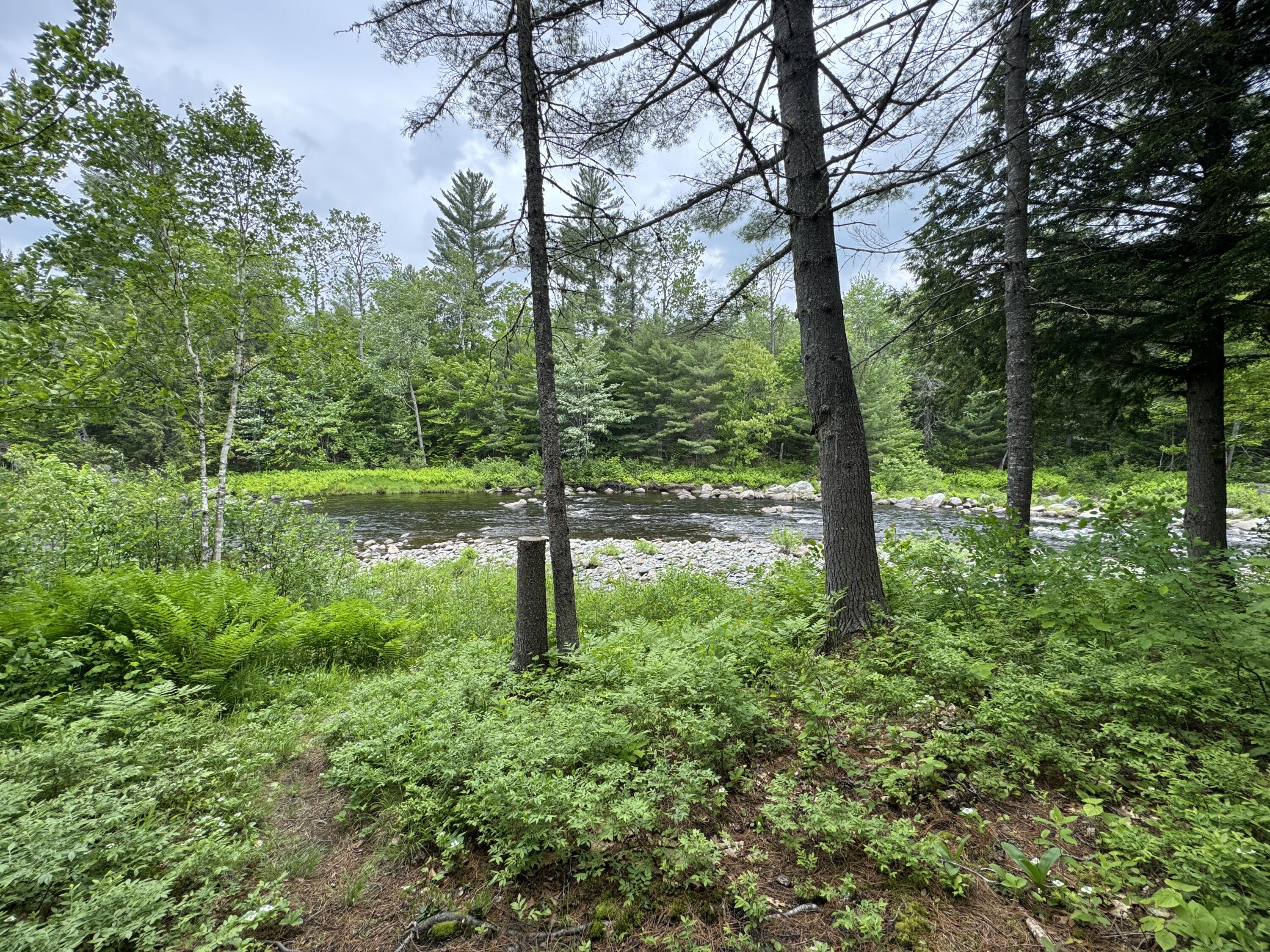 6 Maple Drive Abbot ME 04406