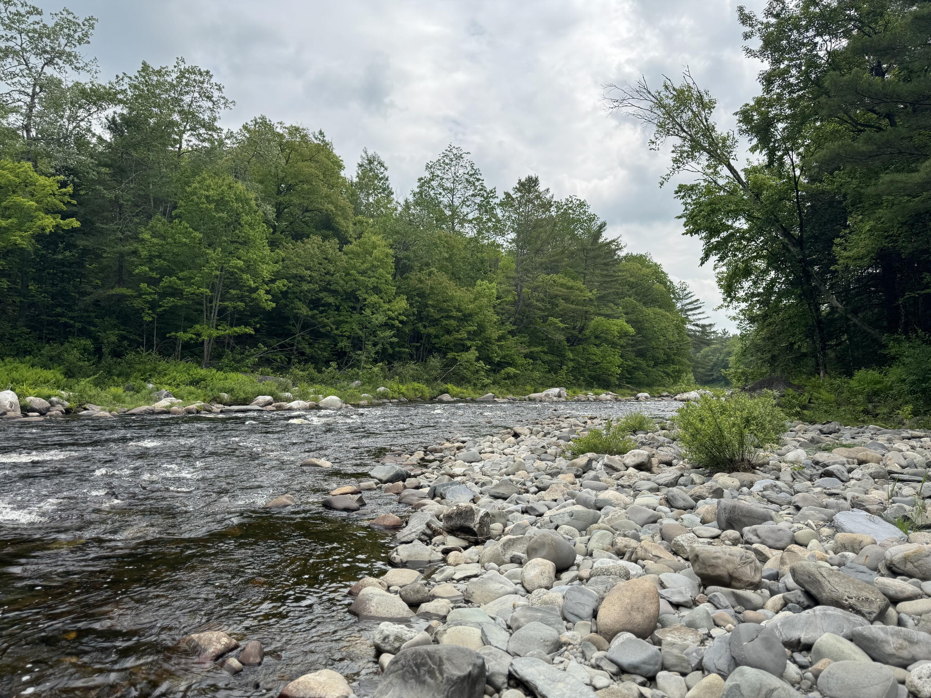 6 Maple Drive Abbot ME 04406