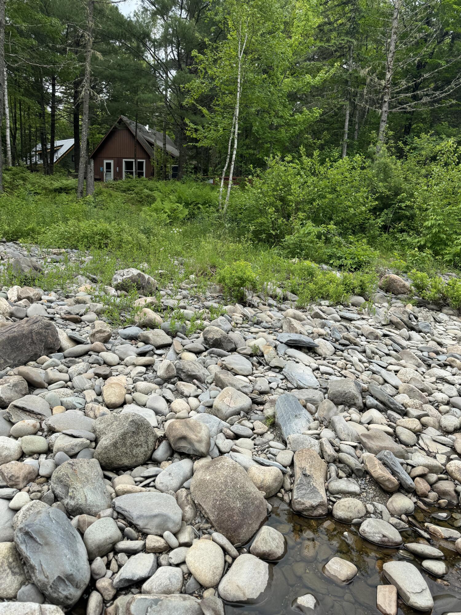 6 Maple Drive Abbot ME 04406